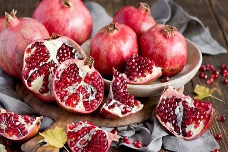 اخبار روز - آخرین خبر ایران - خبرگزاری مهر