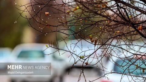 خبرگزاری مهر | اخبار ایران و جهان | Mehr News Agency