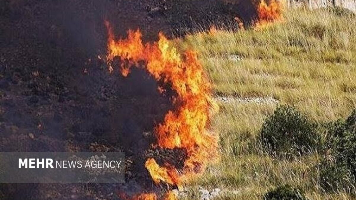 خبرگزاری مهر | اخبار ایران و جهان | Mehr News Agency