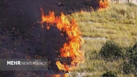 خبرگزاری مهر | اخبار ایران و جهان | Mehr News Agency